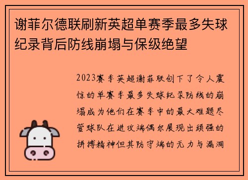 谢菲尔德联刷新英超单赛季最多失球纪录背后防线崩塌与保级绝望